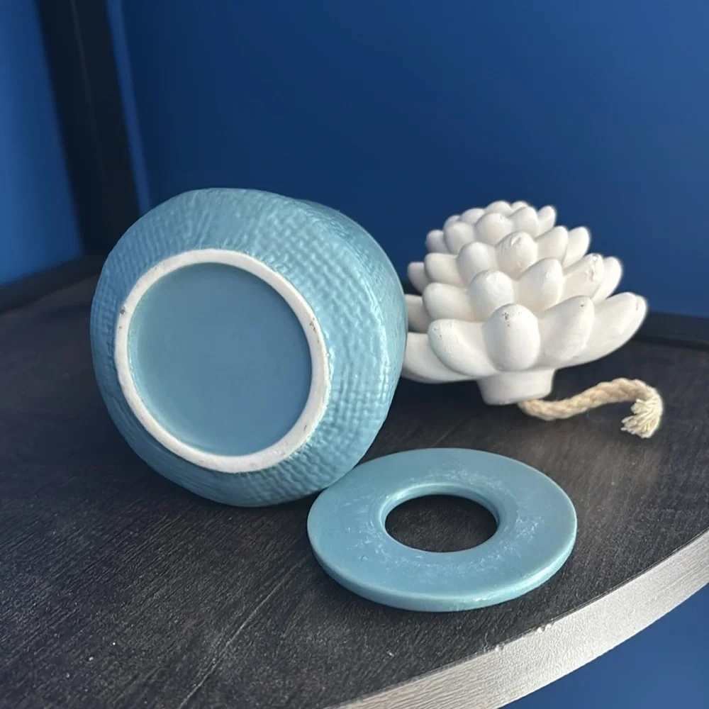 {Huntington Home} Blue Succulent Essential Oil wick diffuser
